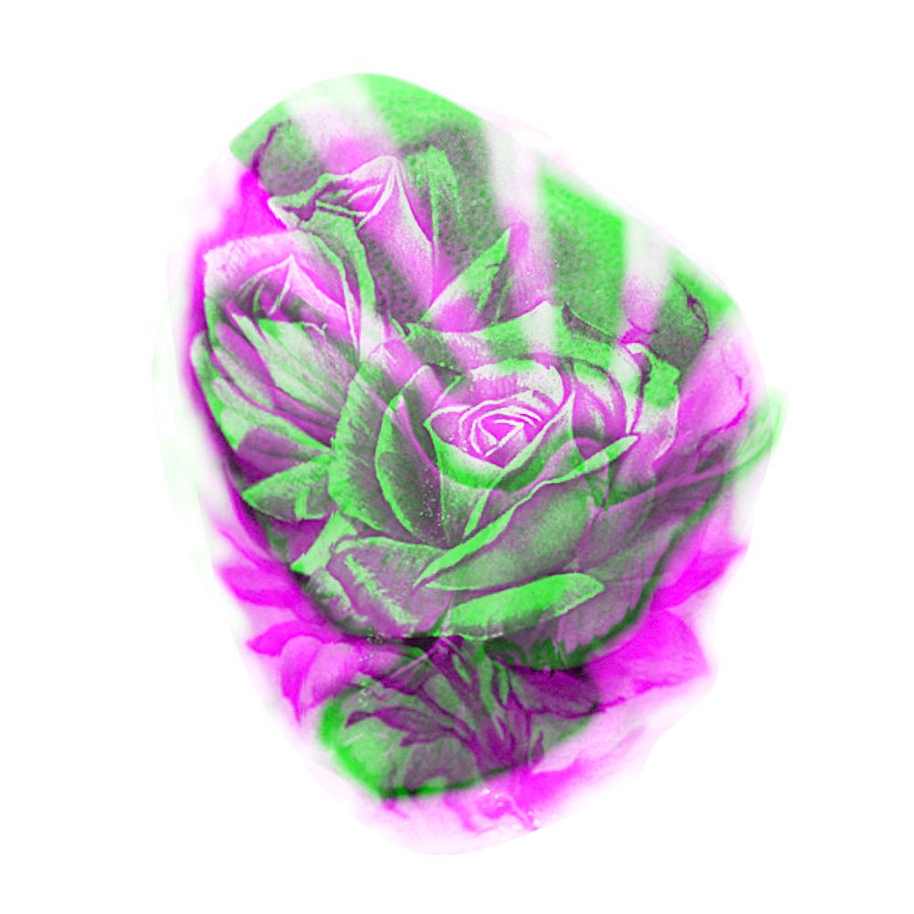 3DXrayTattoo-Green-Magenta