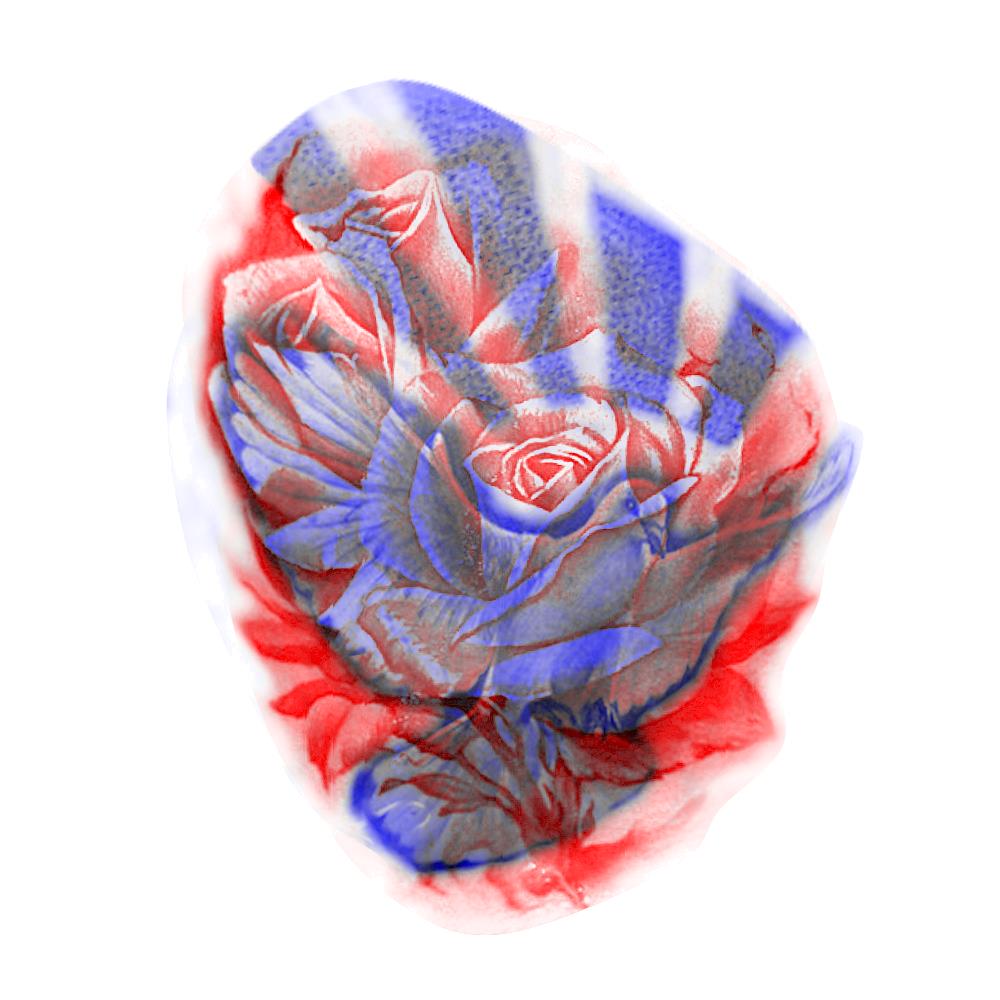 3DXrayTattoo-blue-red